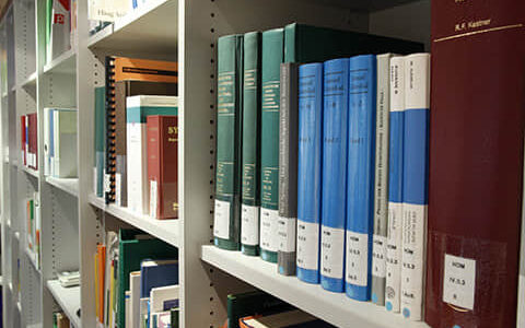 讲一个网红或明星在打造人设的过程中失去真实和独特的例子。