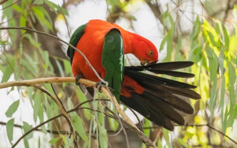 免费课、公益课的作用是什么？为什么说免费课，其实是最有效果、又是最没效果的课程？