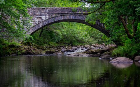 销售课时时，退款政策，应该在什么地方，展示给消费者最合适？