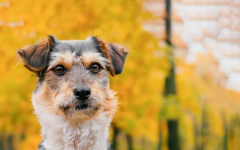 ChatGPT 能不能写出一个一个非常逼真、并且让人信服的故事？如果操作