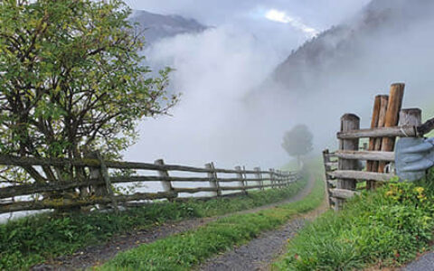 在应用4P理论时，企业应该如何进行市场调研以确定客户需求？