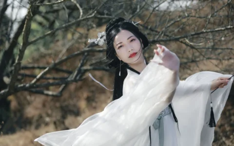 如何利用《小红书》为知识付费产品（例如课程）进行引流，有哪些合规且有效的策略，以及注意事项