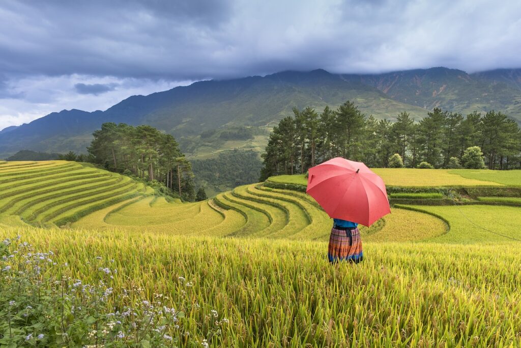 关于来画动画的所有问题，一文给你整得明明白白（长文）