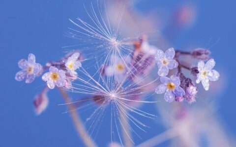 不少博主赔了不少钱：有哪些免费的字体可以商用，到哪里查询呢？