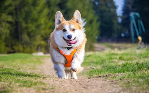 有一些行业，非常适合数字人、虚拟人进行宣传和推广，想知道是哪些行业吗？