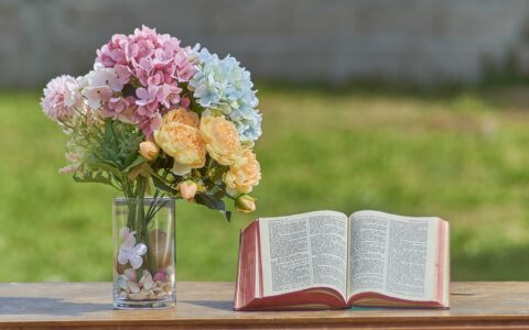 当前使用AI，来辅助编写课程文案，已经成为主流，我把知识博主最常用的AI工具做了一个总结，以方便大家做课时参考