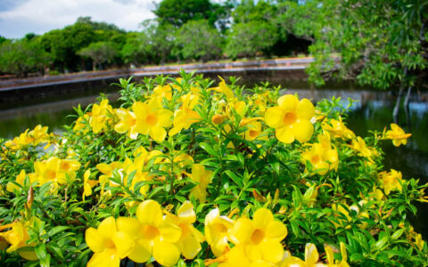 如何制作一个引人注目的课程介绍视频，我总结了10个步骤，可以参考一下