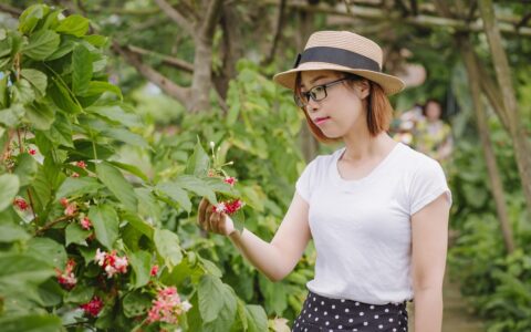 为什么我的内容非常棒，但就是没人看：在制作短视频时，有哪些常见的标题创作误区需要避免？