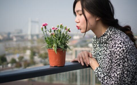 数字人直播有哪些优势和劣势？