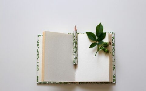 写作能力是自媒体人基本功：快速提升写作能力和技巧的方法和资源（包括书籍）全部整理好了