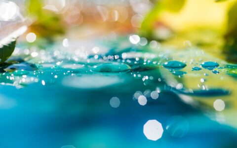 做为老师，跨学科开展教学活动，是非常有意义的：数字人能否支持跨学科的教学活动？