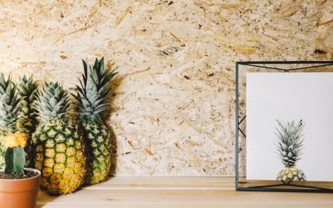 现在自媒体行业中，最卷的赛道是哪个？盈利模式是什么？一文说清楚