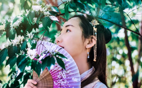 小红书：在版权登记过程中，我需要注意哪些关键点以确保我的权益得到充分保护？