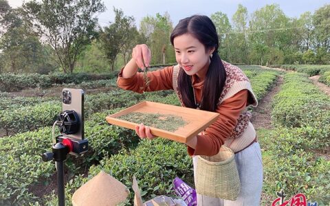 今日头条：如何保持发文的垂直度？如何在文章中标注自己的兴趣认证信息？今日头条兴趣认证取消后可以再次申请吗？