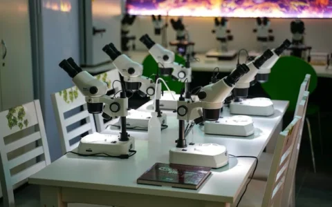 总结贴：为你整理好了人工智能，可以大规模应用的领域，以及他们的优势