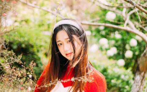 “北快手、南抖音”，为什么会有这样的传言？传言对用户选择使用哪个平台有何影响？