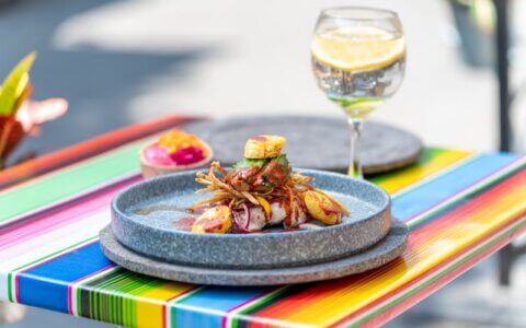 2026年知识付费服务壁垒：从"课程交付"到"陪伴成长"