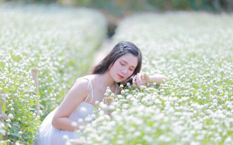 2026 年 AI 智能体崛起，知识博主如何用它再造爆款课？