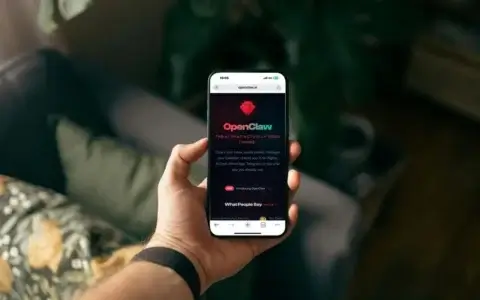 神话破灭？深度起底OpenClaw火爆背后的真相：能力被夸大，风险被低估